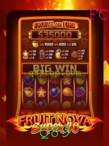 FruitNovaSuper40: Descubra o Novo Fenômeno dos Jogos